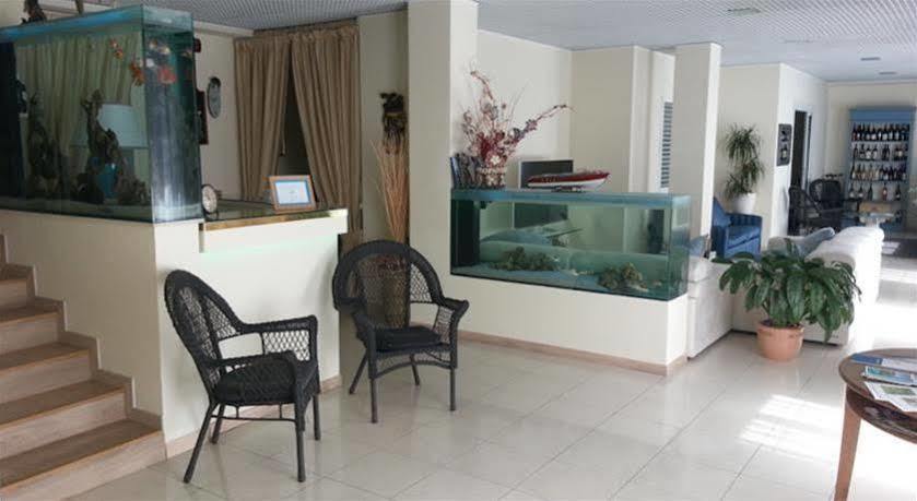 Il Gatto Hotel Rapallo